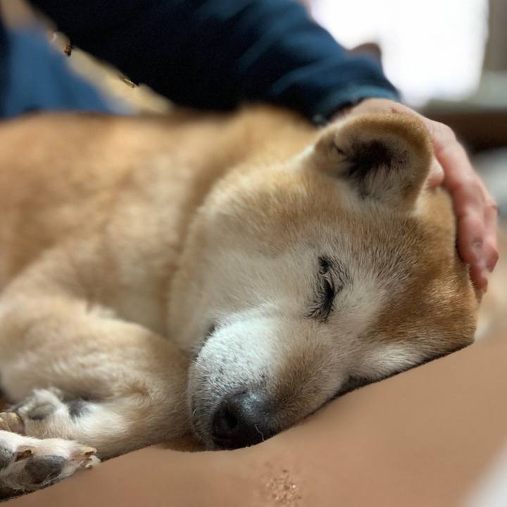 5f282f60 6930 4b12 bd8f a48a9a1f1664 1581212251818