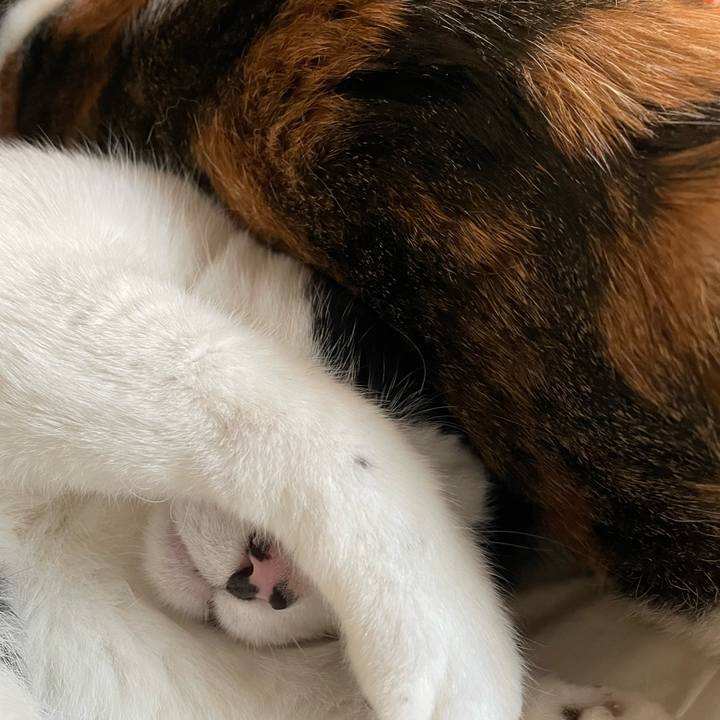 5f283f53 d820 4e00 9f3b 0ea215b3c854 1651550580813