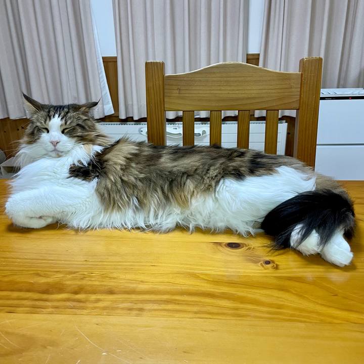 5f288853 8342 4b4e 9c71 8f15b0c0e2cd 1673432022883