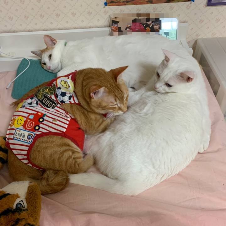 5f289680 1a74 400e ad51 6da370c98c13 1589041121955