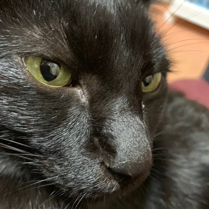 5f28c41c 065b 4f35 8e0f b685b3a80a1f 1543628620579