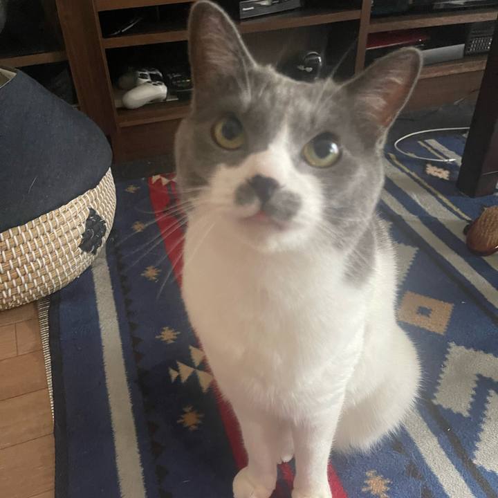 5f292456 1f25 4bba 992a ab150eb3deae 1688867432688