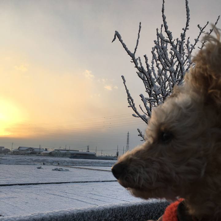 5f294588 700c 4754 9b1a a1b52a2e8be1 1515623848111