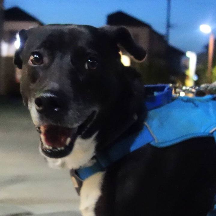 5f2952ed 6891 45c8 9edd 8bb7b0f97f5a 1681730442242