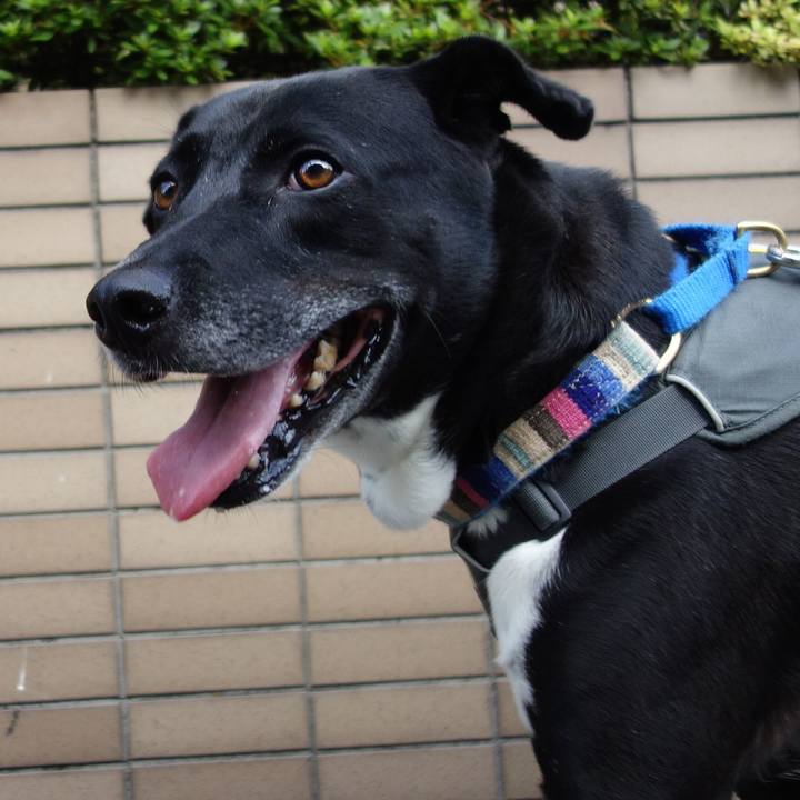 5f29800f 1cac 436f 9763 a7b4c488c046 1656980012808