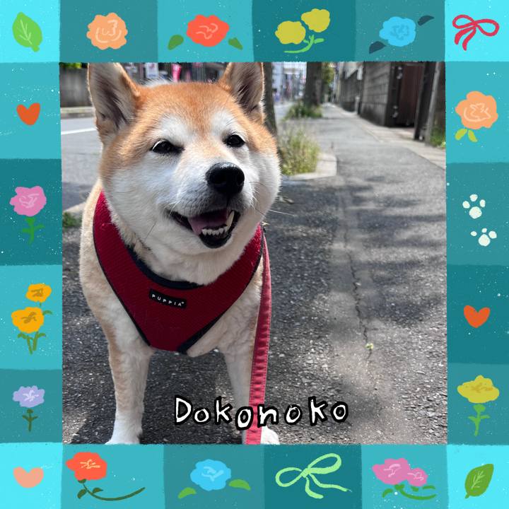 5f299fdf a0bf 4b14 ab0e 0c5c5be467a1 1715256283557