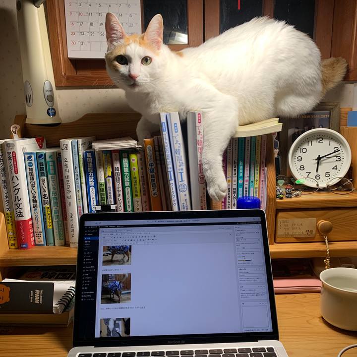 5f29a43b 3929 4bc0 972f 8da1893a64a5 1643059302915