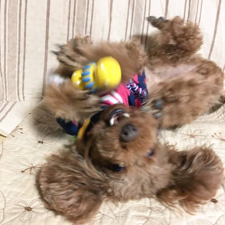 5f29e459 d5bf 4826 90b3 40af1f45c0b2 1508309105017