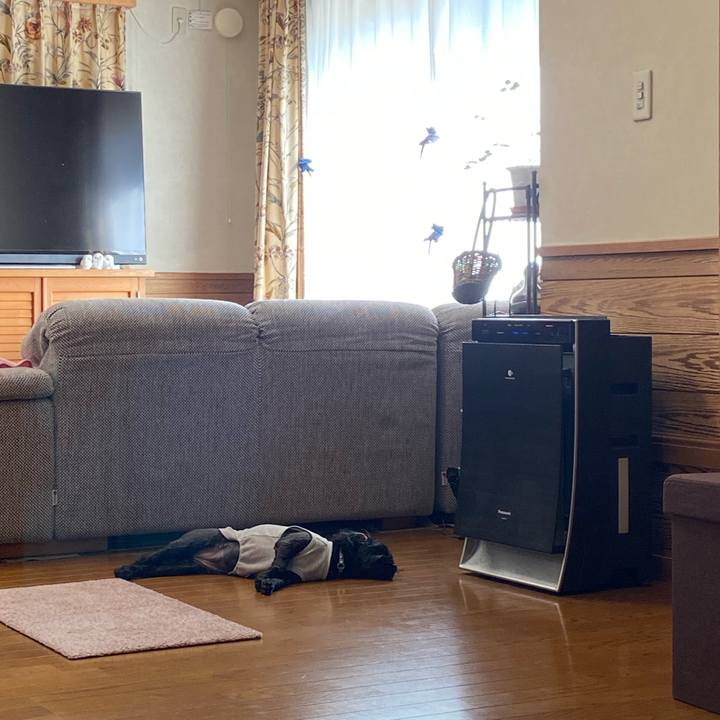 5f29eed2 3714 4710 b051 aed8b3488700 1601610629212