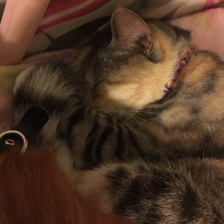 5f29fcb7 bb06 4ecc 8aec ba3573712278 1552058300337