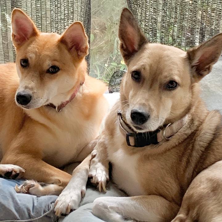 5f2a2467 d563 4664 8f56 e771ebf70543 1572668742651