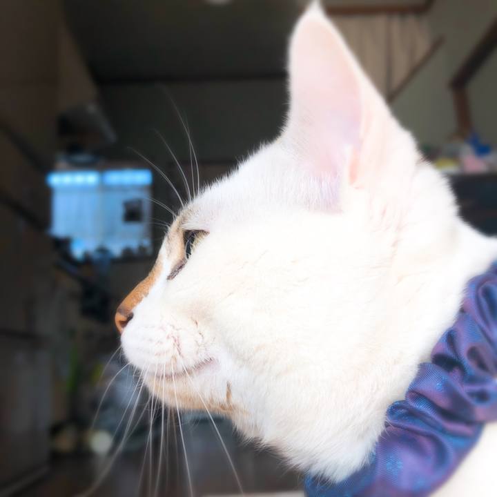 5f2a7984 9c65 401c 8cb3 cbd1e495c60d 1515214563351