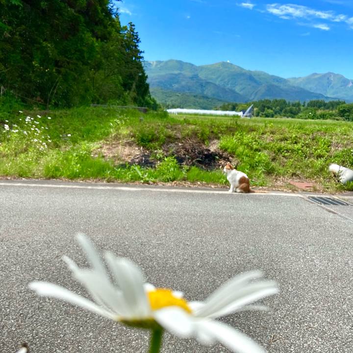 5f2a8206 8cb5 4457 8ad5 96b8a7c63ae8 1622876525388