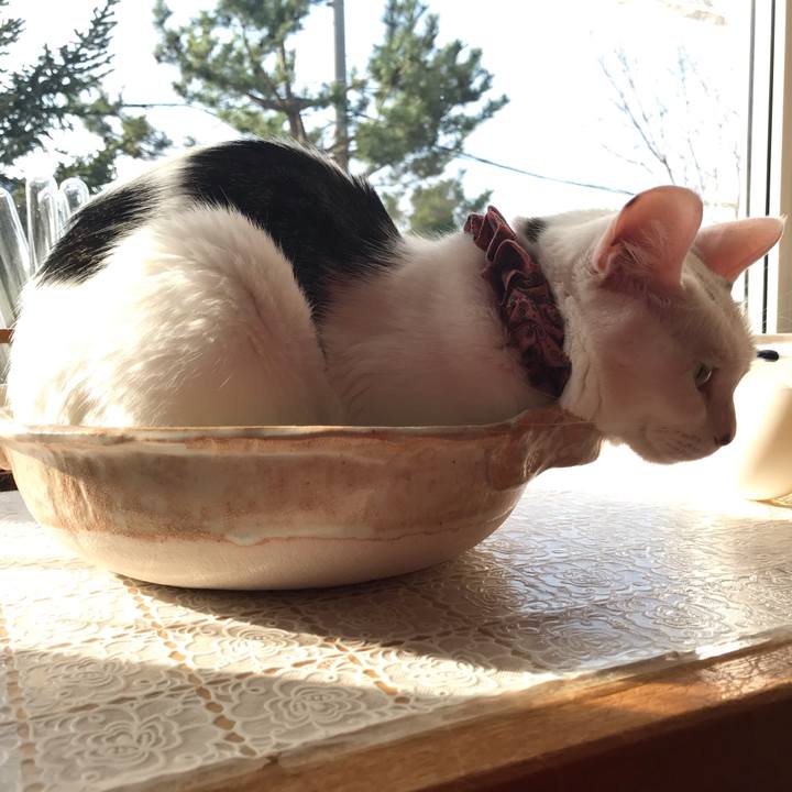 5f2b013f af56 423f 800a dc685a210e64 1620510301890