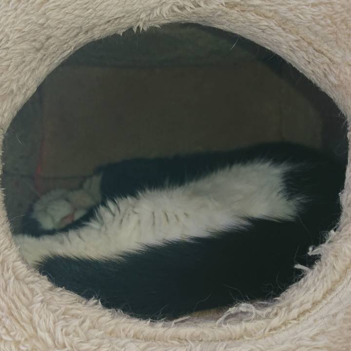 5f2b0b1c 6ee6 43c7 bb7d 8e8bed783c70 1581843686924