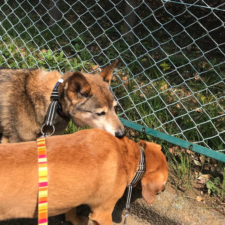 5f2b65af ca5e 4112 8082 468df4556495 1554607898338