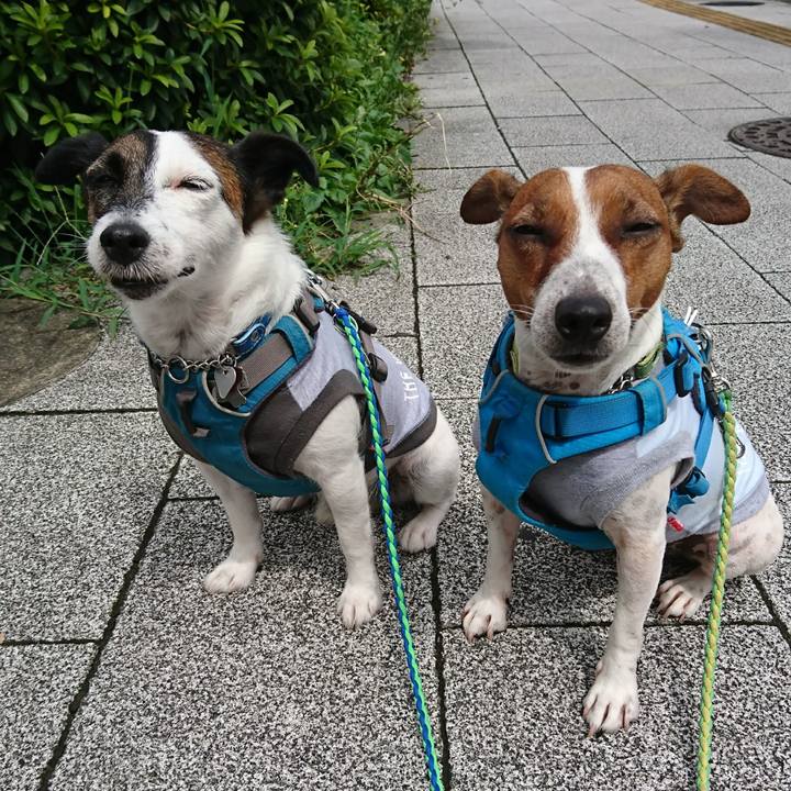 5f2b91ab c370 428f 9097 197ad2082373 1596070803451