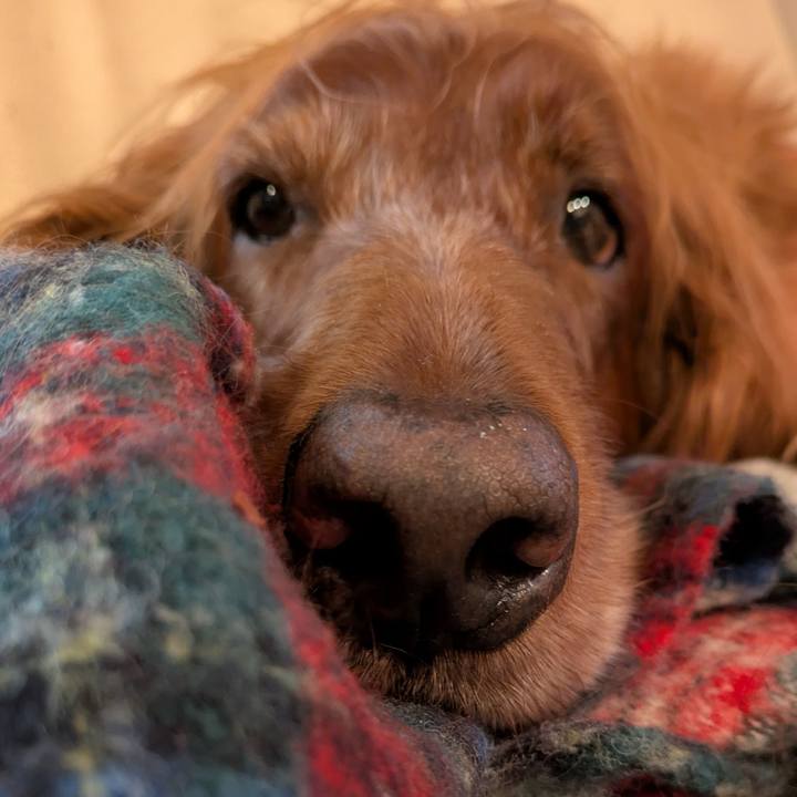 5f2bafa7 278d 466e 8329 ac7ef6c1be49 1776404561379