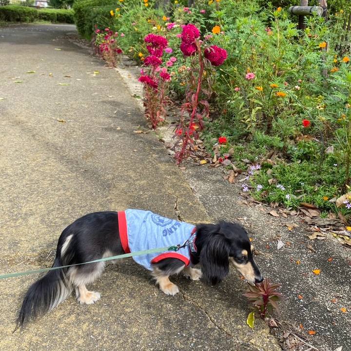 5f2bc104 2e4f 44f5 b2f1 691f717e954d 1760323435180