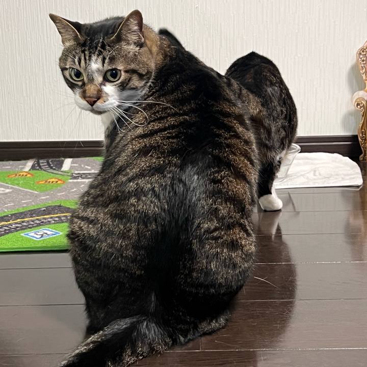 5f2c1fe5 ec82 4925 abc6 eeab71f45199 1764939362754