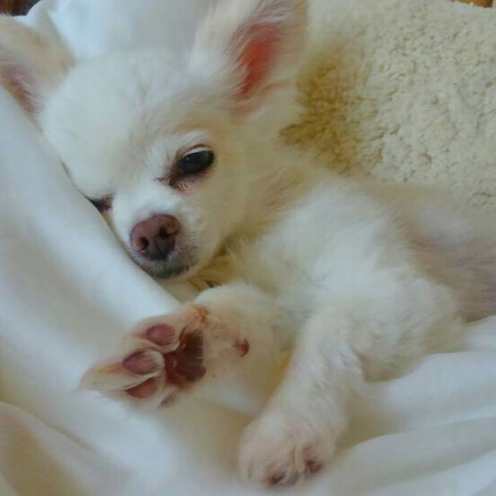 5f2c35e5 3d27 4d88 9586 70f7e86cbd5d 1564277006475