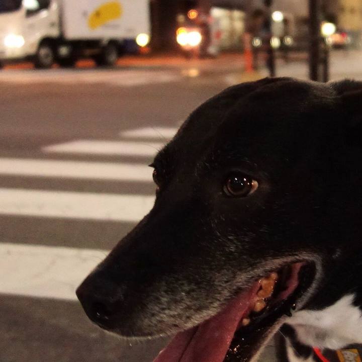 5f2c3fe8 592c 4cfe a7db 9cbbad9a2ec3 1717240019502