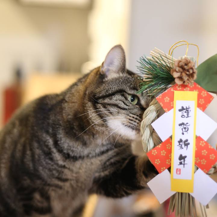 5f2c5163 444b 45ee b2df 278932571c62 1673493942906