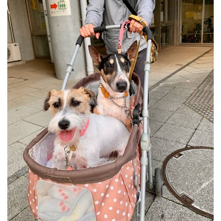 5f2c9837 3b42 4177 be3c 4b3eadc5630e 1604833388789