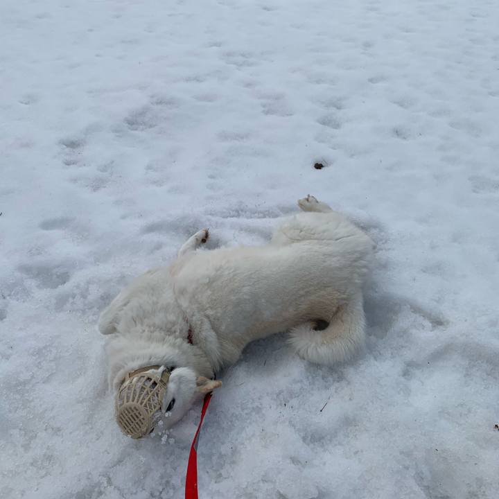 5f2ca87f 35dd 4317 a14f 6f2b9a905b87 1585359934506