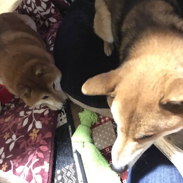 5f2cbd24 d80e 4da0 9b67 c2359cfd4ce5 1580645989561