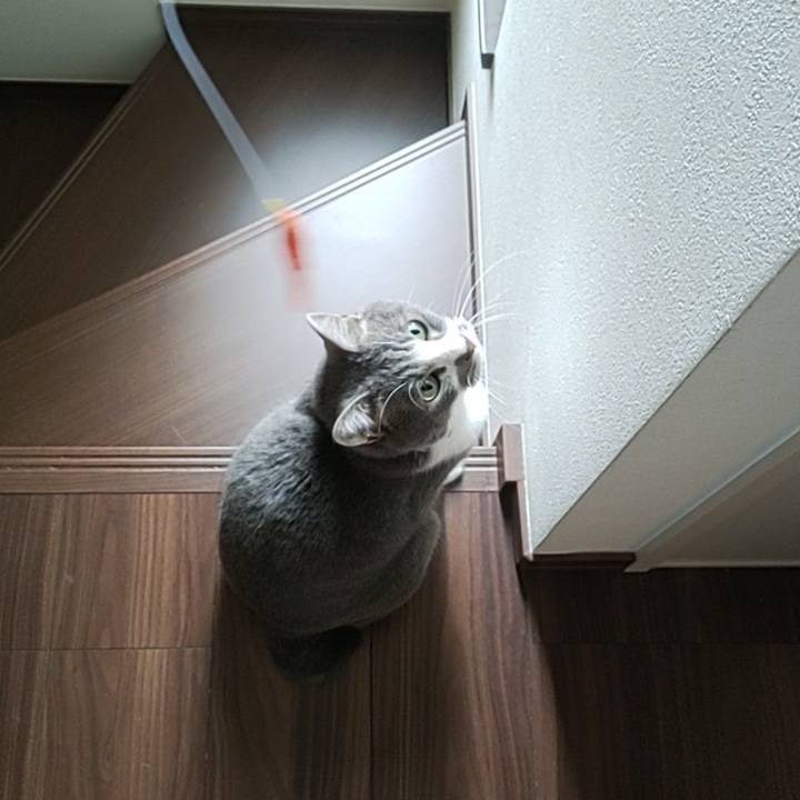 5f2ce9c2 66df 4393 b025 0dad475a25f5 1671595901636