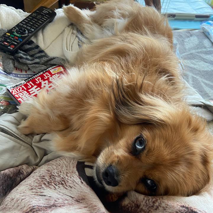 5f2d1809 2493 4854 b3f1 cab0b512c56d 1622241409200