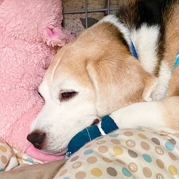 5f2d41da 8711 4af0 b35e b07e20ec4fce 1592796289010