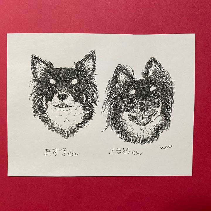 5f2d87c1 845d 44e9 8092 3c6d29dec3ba 1633681836557