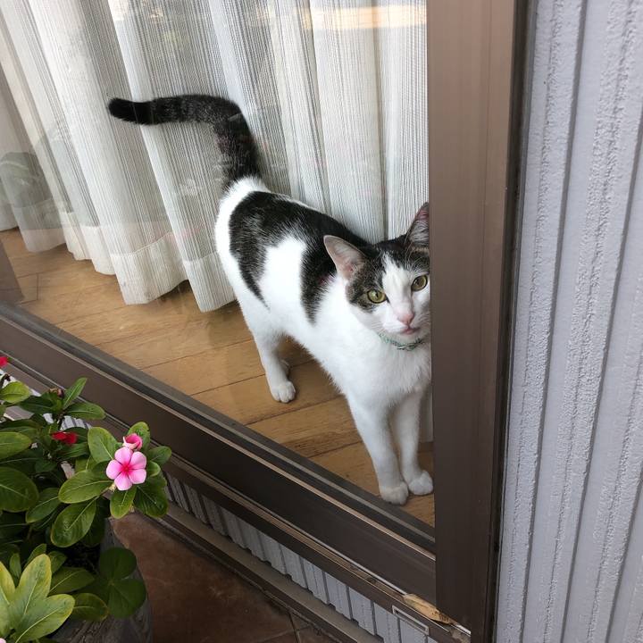 5f2db1b4 ad07 4cbb a6b1 8494db2d0f1f 1605311352696