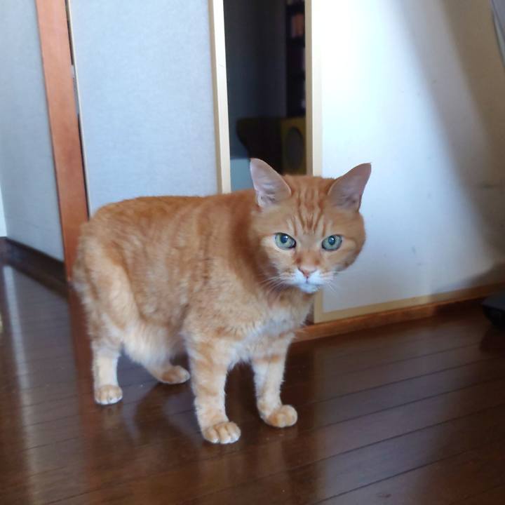 5f2dd809 d551 4686 ba55 7dfea874c923 1752963551802