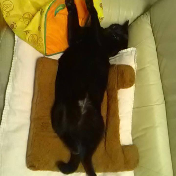 5f2e24a0 a459 442f b7ad 98789e6b5d5c 1561553586563