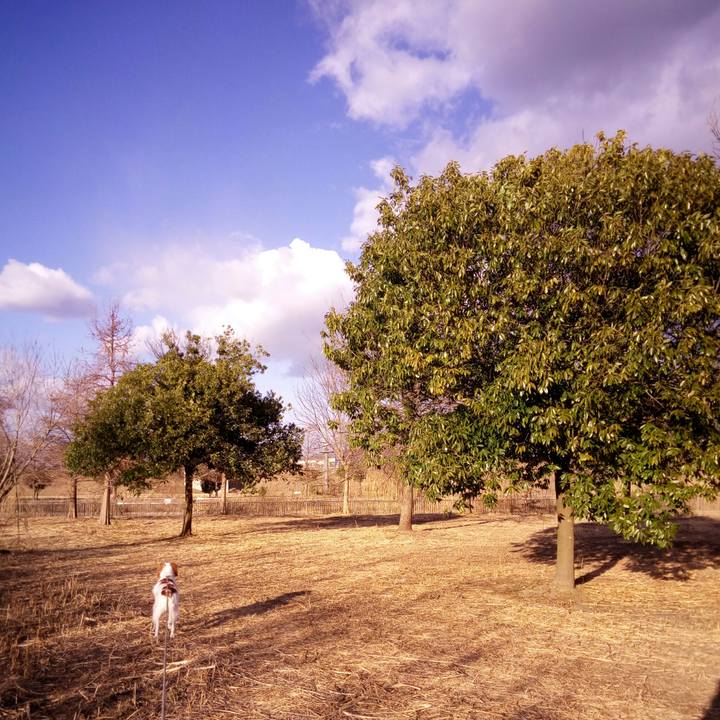 5f2e632e ab37 4ced af51 4099e3b023e7 1517818885735