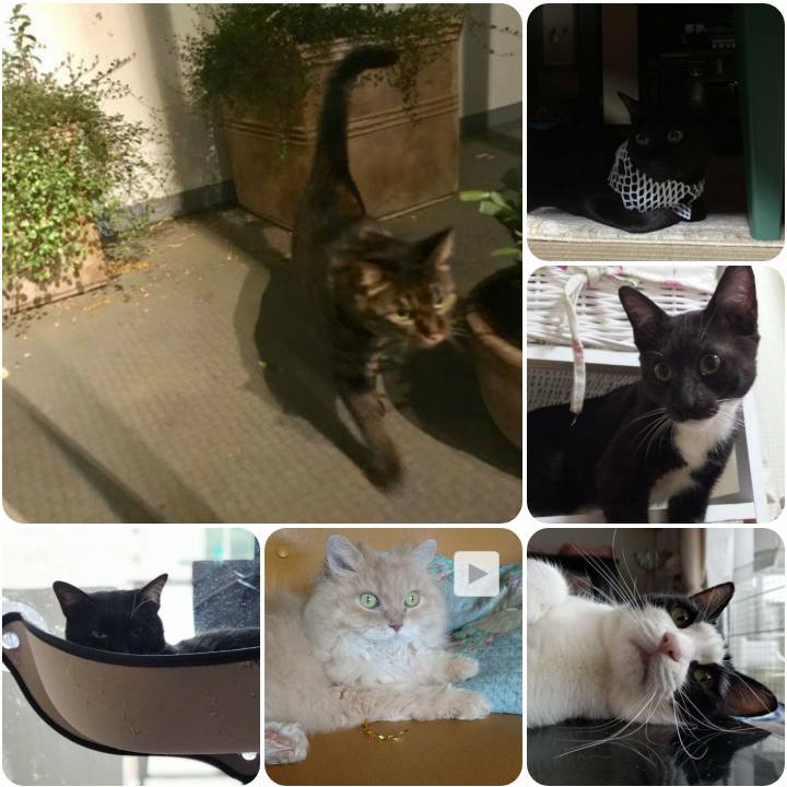 5f2e67b2 31a3 4e48 8329 fd999b103b5d 1561722861993