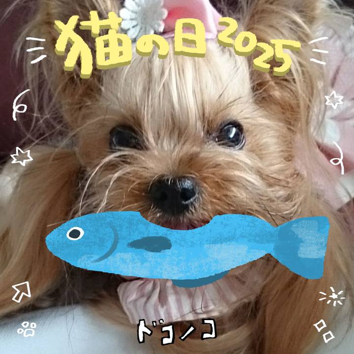 5f2e7523 f71c 4f76 ad50 41cad45ba476 1740113680205