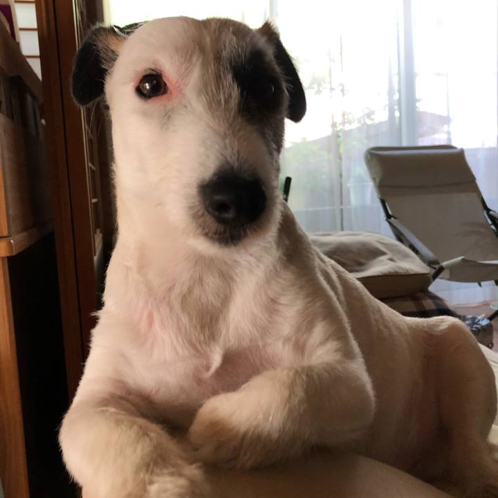 5f2e94cb f661 480f aaac aeef39cf4c77 1558916824857