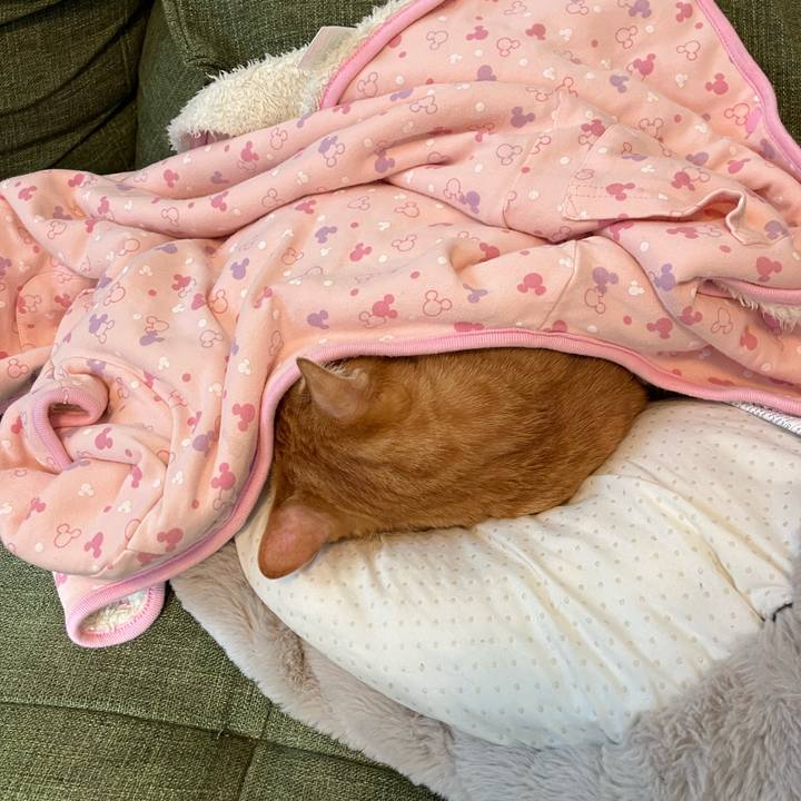 5f2ea44e 4e0d 40ae 94bc cae4f7615538 1765166472265