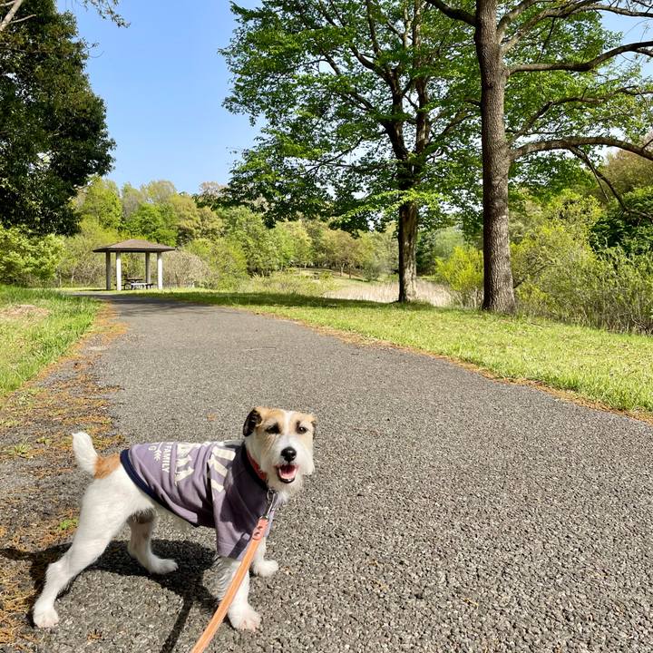 5f2ee8fb 0f67 43ec 9f2c f587cc6aebcf 1681194426694