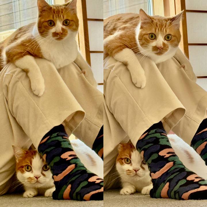 5f2efe32 f722 4cd4 844e 8407b1c86876 1763281827485