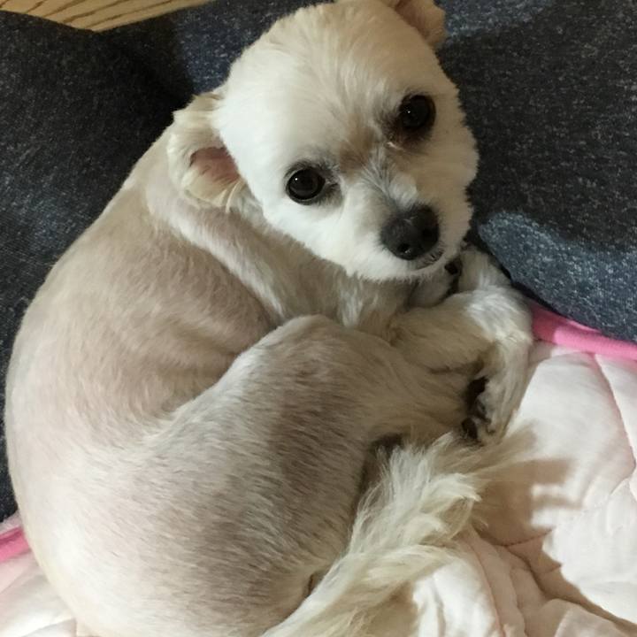 5f2f11f2 361a 4b73 940e 73b27f955d9c 1566302070935