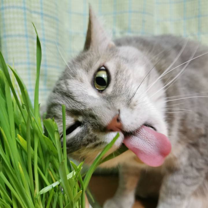 5f2f2bc5 5906 459d bf33 f37a37e27046 1618976725437