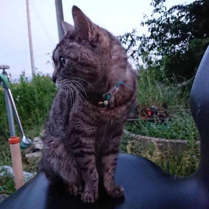 5f2fa445 6731 4bcd 90a0 6ef940e4083c 1559384037919