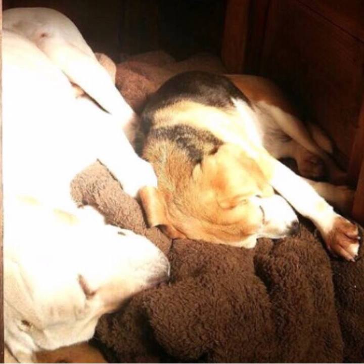 5f2faae4 49c2 4fe2 9a9c 2ecc0f7e89c2 1558308195000