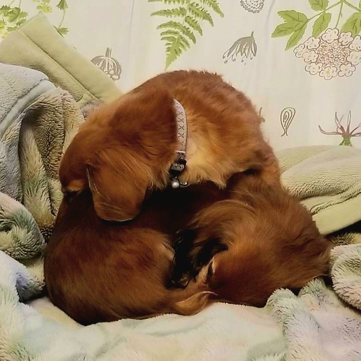 5f2ff44d e17f 4580 9bb8 3d1f460a3aaf 1767527660935