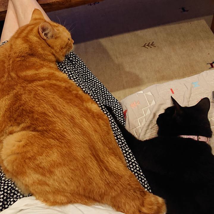 5f30154d d185 4a74 9a8e 53a5ece161bf 1567257027722